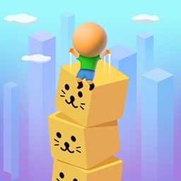 Brick Surfer