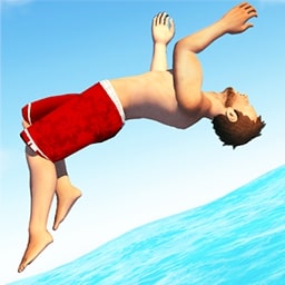 Flip_Champs_3D