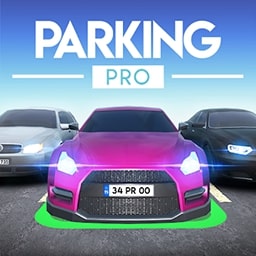 realistic_parking